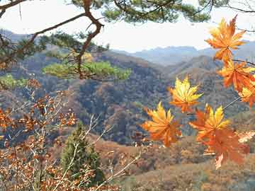 增城今日天气,长沙岳麓区天气预报