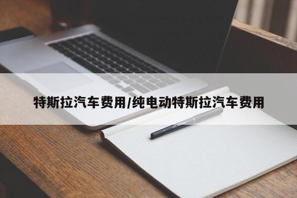 特斯拉汽车费用/纯电动特斯拉汽车费用