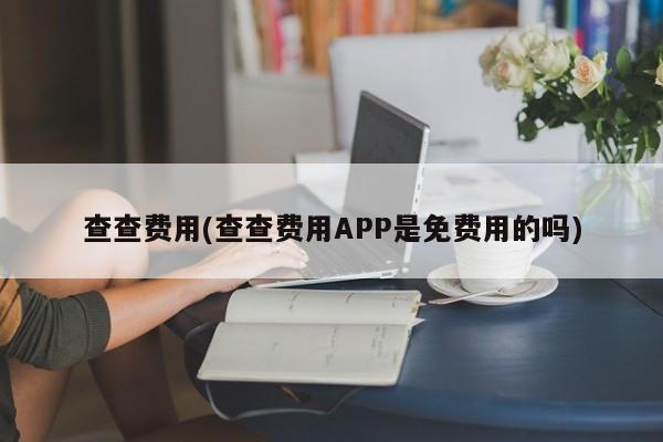 查查费用(查查费用APP是免费用的吗)