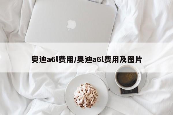 奥迪a6l费用/奥迪a6l费用及图片