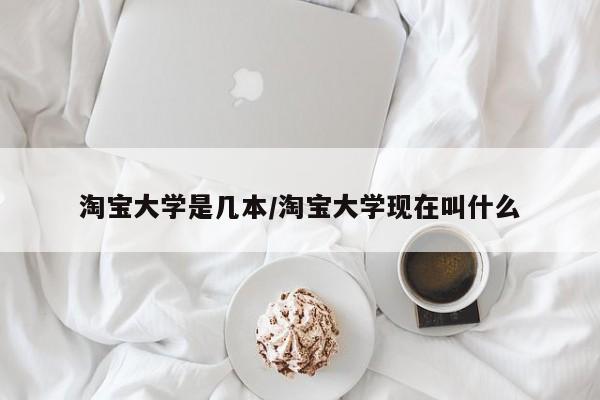 淘宝大学是几本/淘宝大学现在叫什么