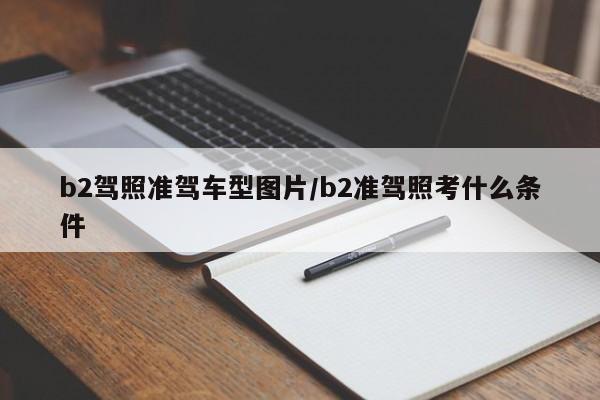 b2驾照准驾车型图片/b2准驾照考什么条件